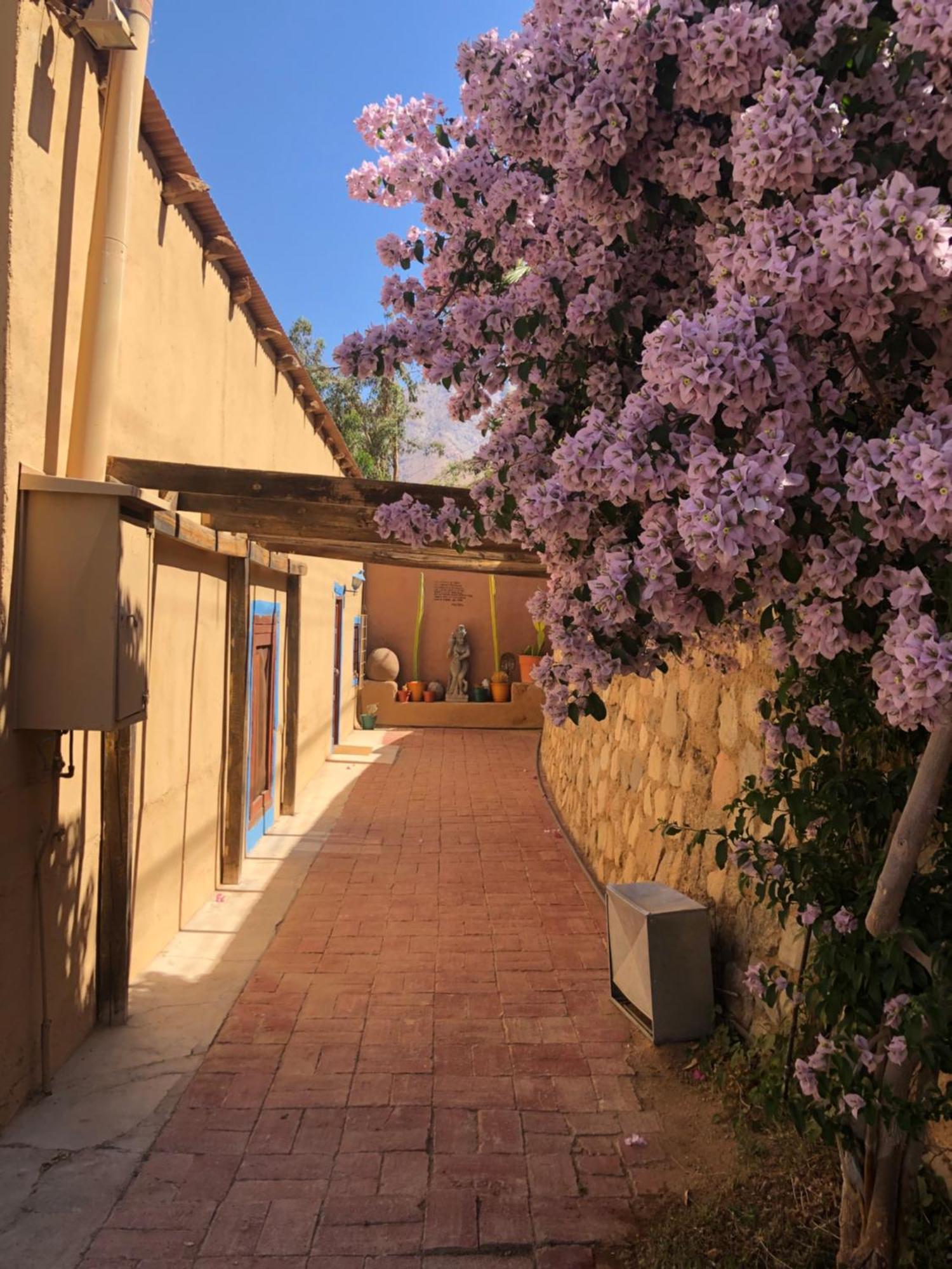 Cabanas Elquimista Pisco Elqui Ngoại thất bức ảnh